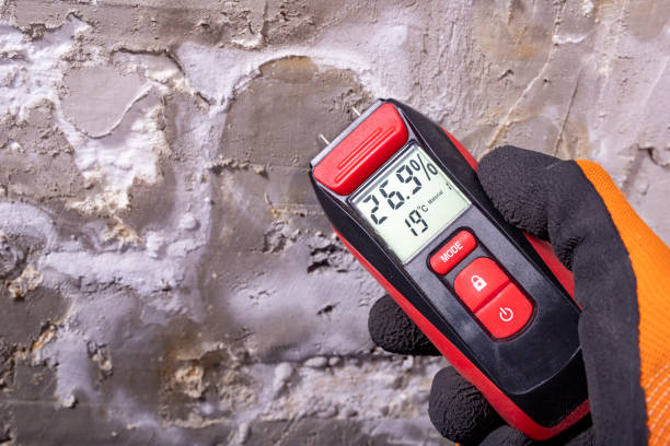 Best Attic Mold Removal  in Basalt, CO