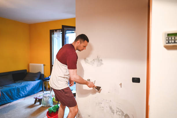 Basalt, CO Mold Removal Company